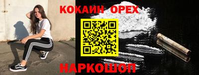 МДПВ Кингисепп