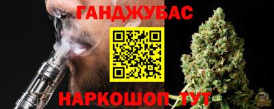 МДПВ Кингисепп