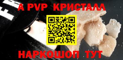 МДПВ Кингисепп