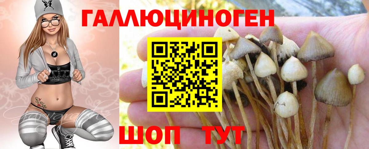 Псилоцибиновые грибы мицелий  сколько стоит  Куйбышев  Вход с VPN 